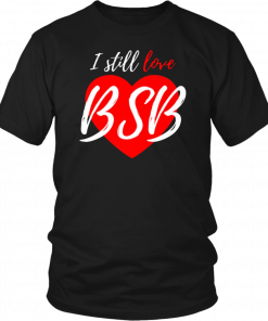 Cute 90s Music Fan, Boy Band Backstreet Back I Love BSB Premium T-Shirt