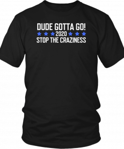 Dude Gotta Go Stop The Craziness 2020 Shirt