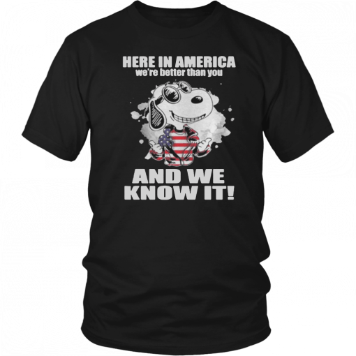 Here In America Were Better Than You And We Know It Gift T-Shirt