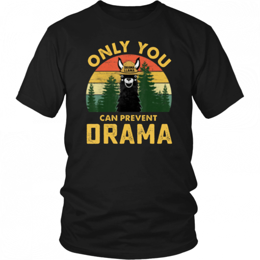 Only you can prevent drama Llama Camping Vintage funny T-Shirt