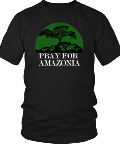 Pray For Amazonia 2019 T-Shirt