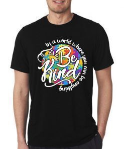 In A World Where You Can Be Anything Be Kind Autism Meaningful Gift T-Shirt