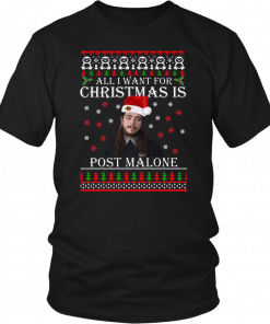 All I want for Christmas is Post Malone Funny T-Shirt