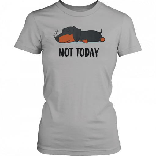 Dachshund not today T-Shirt