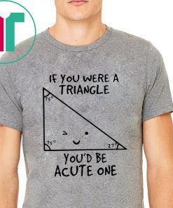 If You Were Triangle Youd Be Acute One Math Funny T-Shirt