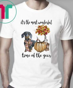 Dachshund pumpkin Its the most wonderful time of the year Shirt