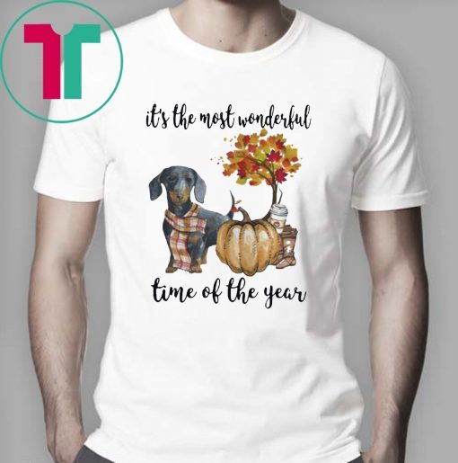 Dachshund pumpkin Its the most wonderful time of the year Shirt