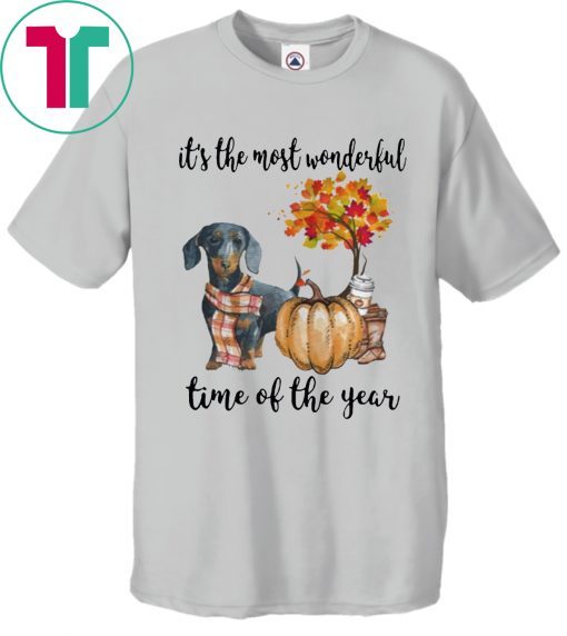 Dachshund pumpkin Its the most wonderful time of the year Shirt