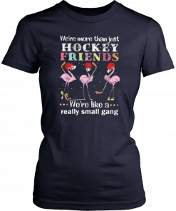 We're more thant just Hockey friends we're like a really small gang T-Shirt