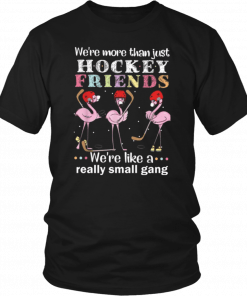 We're more thant just Hockey friends we're like a really small gang T-Shirt
