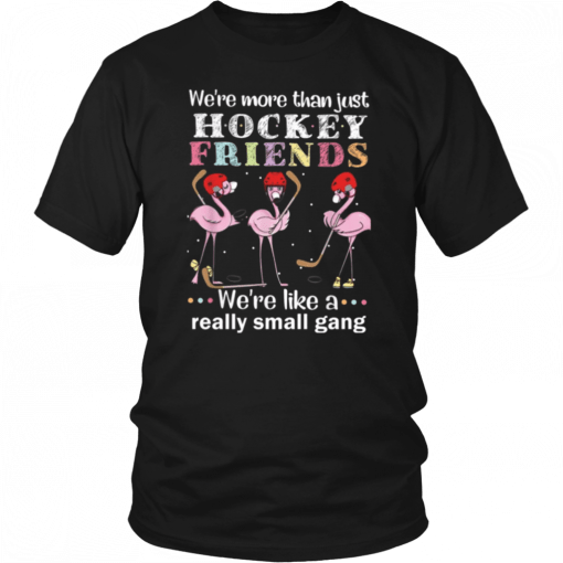 We're more thant just Hockey friends we're like a really small gang T-Shirt