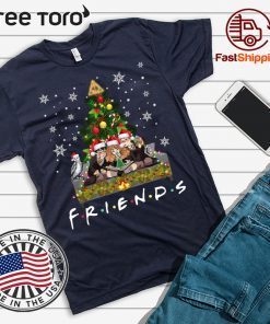 Harry Potter Hermione And Ron Weasley Friends Christmas Shirt