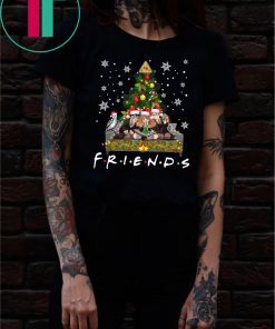Harry Potter Hermione And Ron Weasley Friends Christmas Shirt