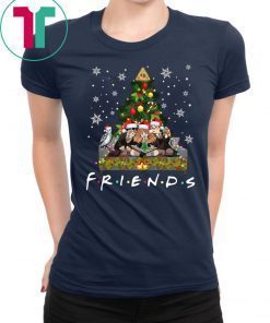 Harry Potter Hermione And Ron Weasley Friends Christmas Shirt