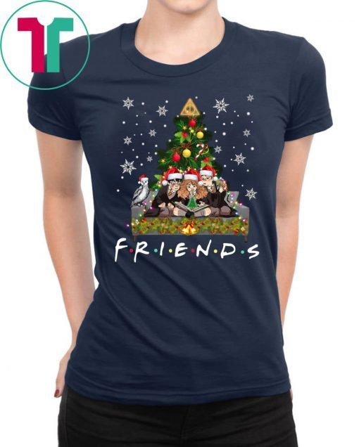 Harry Potter Hermione And Ron Weasley Friends Christmas Shirt