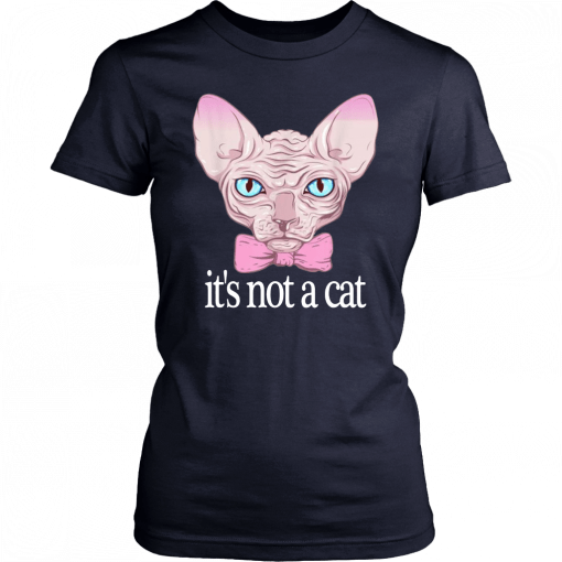 Friends Quotes Shirt It’s Not a Cat Rachel Sphynx cat Shirt