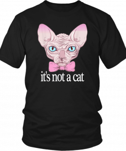 Friends Quotes Shirt It’s Not a Cat Rachel Sphynx cat Shirt