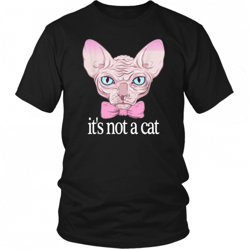 Friends Quotes Shirt It’s Not a Cat Rachel Sphynx cat Shirt