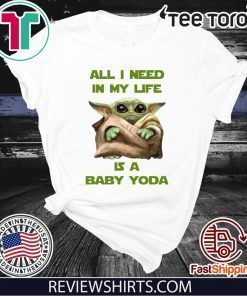 All I Need In My Life Is A Baby Yoda Shirt T-Shirt