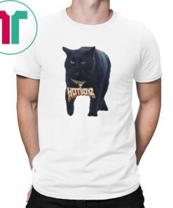 Black Cat Hot Boyz Funny T-Shirt