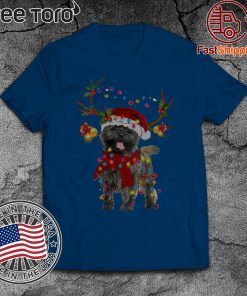 Cairn Terriers Gorgeous Reindeer 2020 T-Shirt