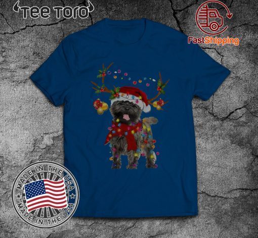 Cairn Terriers Gorgeous Reindeer 2020 T-Shirt