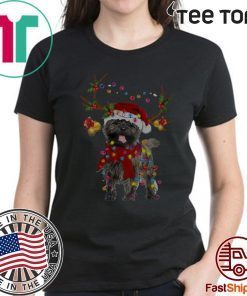 Cairn Terriers Gorgeous Reindeer 2020 T-Shirt