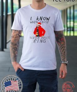 Drake I Know When Those Sleigh Bells Ring Unisex T-Shirt