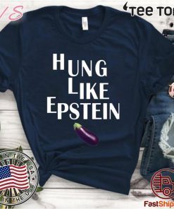 Eggplant Hung like Epstein tee shirts
