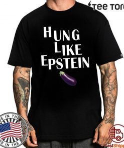 Eggplant Hung like Epstein tee shirts