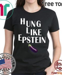 Eggplant Hung like Epstein tee shirts