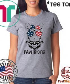 Cat American flag Pawtriotic 4th July independence day Shirt T-Shirt