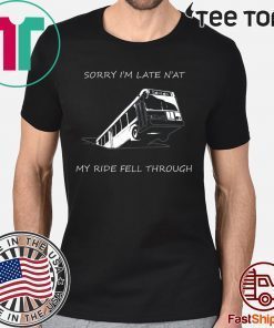 Sinkhole of 2019 Pittsburgh Bus Jagoff Pothole Yinzers t-shirts