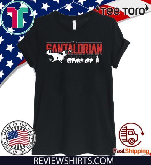 The Mandalorian Shirt - Best The Mandalorian T-Shirt