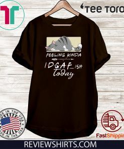 Feeling Kinda IDGAF Ish Today 2020 T-Shirt