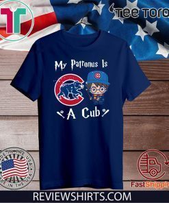 Harry Potter Chicago Bears My Patronus is a Cub 2020 T-Shirt