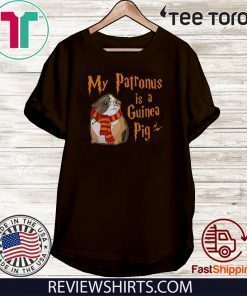 My Patronus is a Guinea pig 2020 T-Shirt