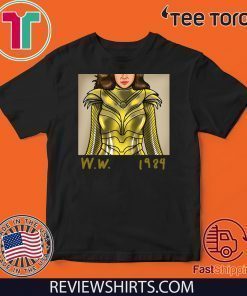 Wonder Woman 1984 by Boggs Nicolas T Shirt