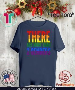 COOL GIFT SHIRT - THERE ARE MORE THAN TWO GENDERS T-SHIRT