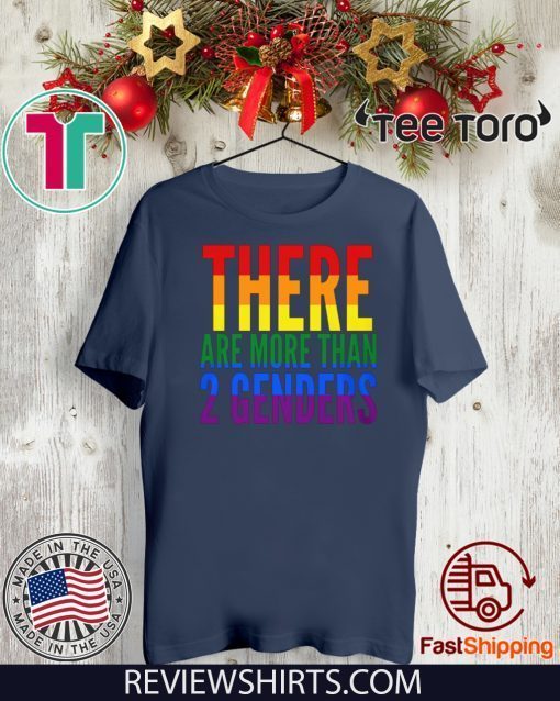 COOL GIFT SHIRT - THERE ARE MORE THAN TWO GENDERS T-SHIRT