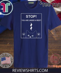 Stop You Are Under A Rest Funny Symbol Music Notes Musician 2020 T-Shirt