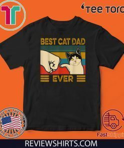 Vintage Best Cat Dad Ever Bump Fit 2020 T-Shirt