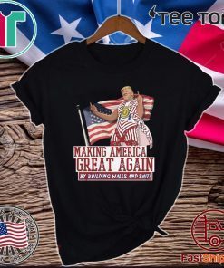 Making America Great Again By Building Walls And Shit Donald Trump T-Shirt