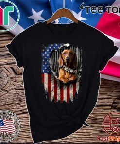 Dachshund Dog Name American Flag 2020 T-Shirt