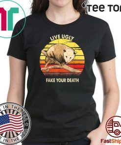 Live Ugly Fake Your Death Vintage Sunset Opossum 2020 T-Shirt