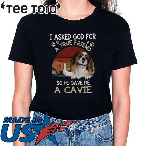 I Asked God For A True Friend So He Gave Me A Cavie Dog Vintage For T-Shirt