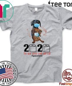 Dachshunds Mask 2020 The Year When Shit Got Real Quarantined Shirt For Mens & Womens