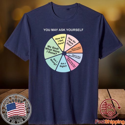 You May Ask Yourself Pie Chart T-Shirt