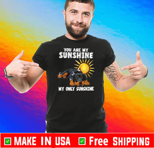You are my Sunshine my only Sunshine Official T-Shirt