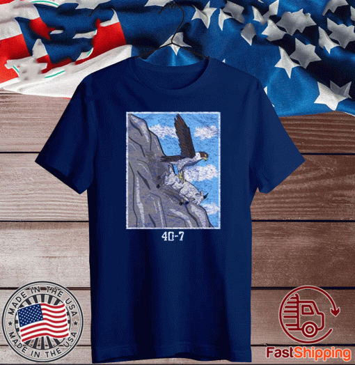 AF 40-7 Tee Shirts